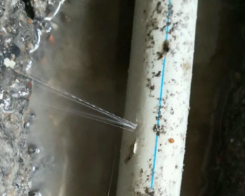 沾化卫生间测漏水多少钱