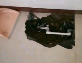 沾化卫生间测漏水多少钱